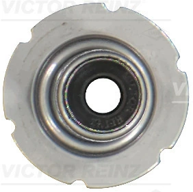 Seal Ring, valve stem